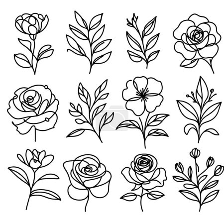 set of hand drawn roses, vector illustration. Set of black and white roses and leaves. Vector icons of one line art flowers. Continuous mono lines roses, leaves, branches. Blossom logos