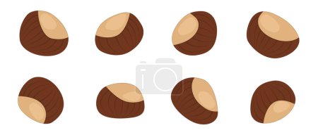 chestnut autumn food cartoon. brown nut, fruit fall, natural organic, plant sweet, snack season, chestnuts healthy, vegetarian chestnut autumn food vector illustration
