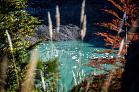 Téléchargez les photos : Lac Manso, vert émeraude en raison de la teneur en sédiments avec sulfate de cuivre, situé au pied du glacier Manso et Ventisquero Negro, à la base du Cerro Tronador. - en image libre de droit