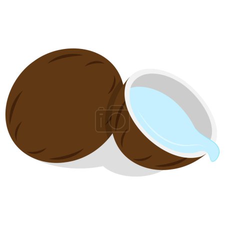 Illustration for A coconut illustration is a visual representation of the coconut fruit. - Royalty Free Image