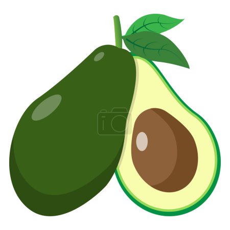 An avocado illustration is a visual representation of the avocado fruit.