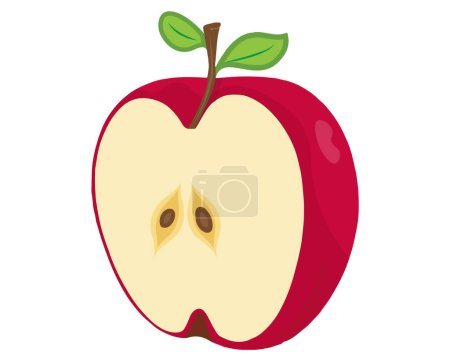 A Half Cut Apple Illustration.