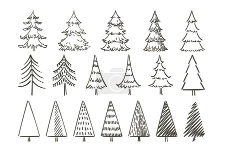 Illustration for Christmas new year trees and Quote. Hand drawn set of spruce. Holidays background and Greetings card. Abstract doodle drawing woods, spruce. Vector sketch simple line illustration. - Royalty Free Image