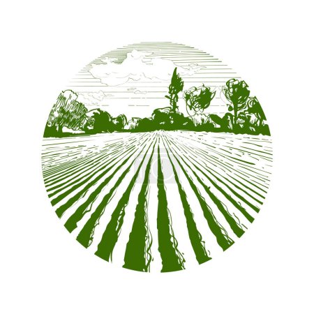Illustration for Farm field landscape. Circle round green landscape logo. Plowed furrows in preparation for crops planting. Rows of soil, rural countryside perspective horizon view. Vintage realistic engrav - Royalty Free Image