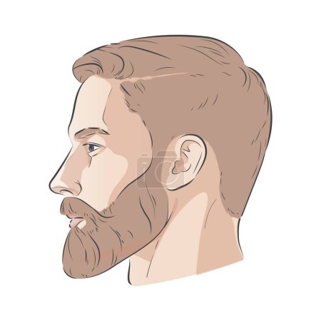 Illustration for Man with beard. Barbershop trimming bearded hipster hairstyle. Stylish haircut. Set of man face portrait different angle view turns front, profile, three-quarter. Vector line illustration - Royalty Free Image