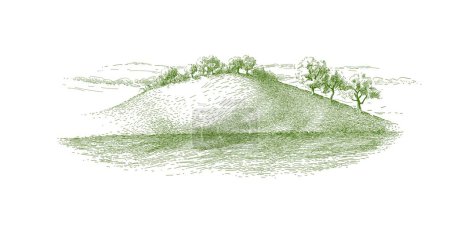 Illustration for Grass on the fields hill landscape. Set of fruit trees: olive, apple, plum, apricot. Orchard, grove. Vector realistic black and white vintage sketch illustration - Royalty Free Image