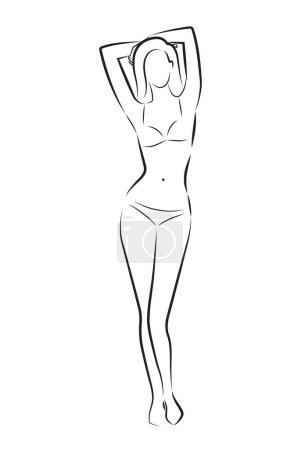Illustration for Woman body. Vector full-length girl standing portrait. Set of body-positive female. Different posing figures. Fashion silhouette outline line illustration - Royalty Free Image