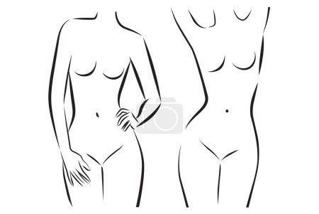Illustration for Woman body set of illustrations. Minimalist linear female beautiful girl portrait. Different posing figures. Abstract lingerie, bikini sensual. Modern fashion vector line art - Royalty Free Image