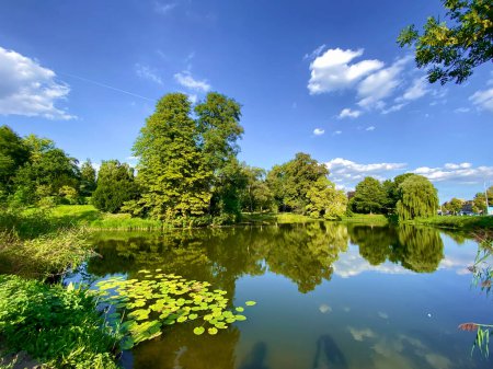 Lake in the park. Beautiful summer landscape with lake and trees.