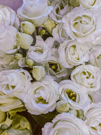 Photo for Beautiful white roses in a bridal bouquet, close up - Royalty Free Image