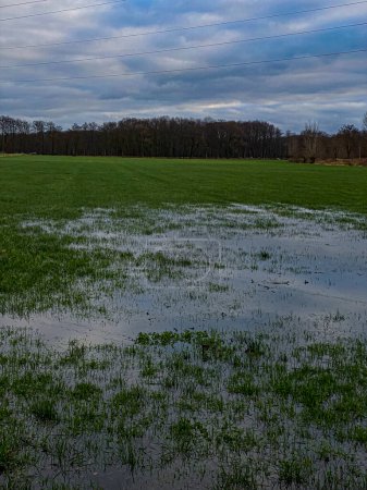 A view of a flooded field in the countryside in springtime.