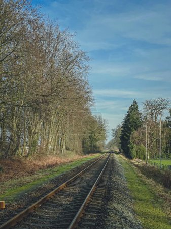Foto de Ferrocarril en el campo con árboles y cielo azul en el fondo - Imagen libre de derechos