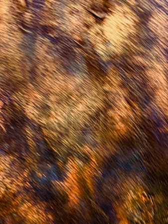 Photo for Abstract background texture of rusty metal - Royalty Free Image