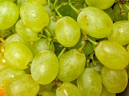 Bunch of green grapes on a white background close-up.