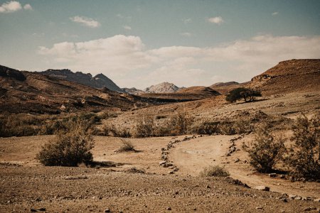 Téléchargez les photos : Dans le Néguev le désert, le canyon du ciel nuageux profond. Paysage désertique dans la vallée de l'Etat d'Israël, désert du Néguev, rochers à l'horizon, buissons. - en image libre de droit