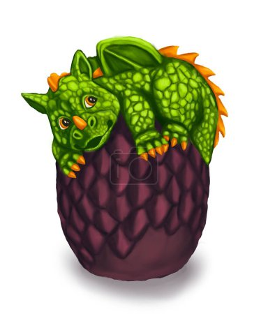   green dragon, baby dragon, symbol of the year, year of the dragon 2024, gragon passed out, dragon egg, purple egg, illustration, new year, Chinese new year