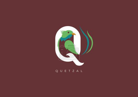 Foto de Este es un logotipo moderno de Quetzal, Gran combinación de Quetzal Bird símbolo con la letra Q como inicial de Quetzal sí mismo. - Imagen libre de derechos