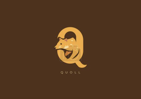Foto de Este es un logotipo moderno de Quoll, Gran combinación de símbolo Quoll con letra Q como inicial de Quoll sí mismo. - Imagen libre de derechos