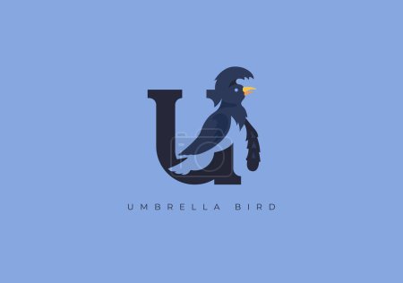 Photo for This is a modern logo of Umbrella Bird, Great combination of Umbrella Bird symbol with letter U as initial of Umbrella Bird itself. - Royalty Free Image