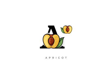 Photo for This is a modern Apricot Vector, Great combination of Apricot symbol with letter A as initial of Apricot itself. Nice for Logo, Monogram, Symbol or any graphic design needs. - Royalty Free Image