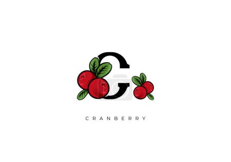 Photo for This is a modern Cranberry Vector, Great combination of Cranberry symbol with letter C as initial of Cranberry itself. Nice for Logo, Monogram, Symbol or any graphic design needs. - Royalty Free Image
