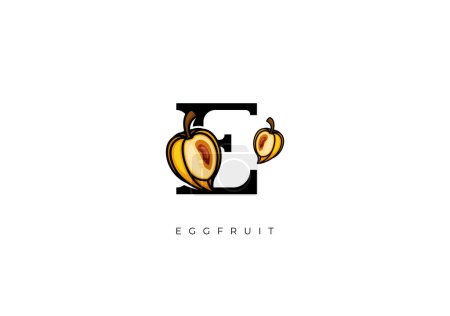 Photo for This is a modern Eggfruit Vector, Great combination of Eggfruit symbol with letter E as initial of Eggfruit itself. Nice for Logo, Monogram, Symbol or any graphic design needs. - Royalty Free Image