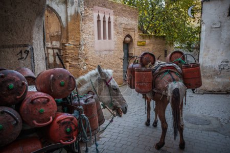 Foto de Mules transportando botellas de gas en la medina, Fez - Imagen libre de derechos