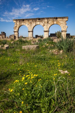 Photo for The entrance arches of the Herules Works House, Volubilis, Morocco - Royalty Free Image
