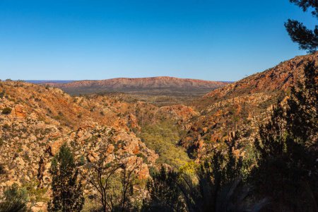 Foto de El cañón Standley Chasm cubierto por la vegetación y las cordilleras MacDonnell en la distancia de Larapinta Hill, Territorio del Norte, Australia - Imagen libre de derechos