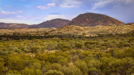 Photo for MacDonnell National Park, Northern Territory, Australia - Royalty Free Image