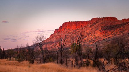 Photo for MacDonnell Ranges at sunset, Northern Territory, Australia - Royalty Free Image