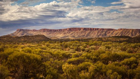 Photo for MacDonnell Ranges, Northern Territory, Australia - Royalty Free Image