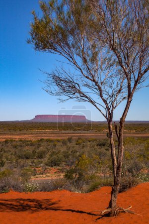 Photo for View of Mount Conner in a clear winter day, Northern Territory, Australia - Royalty Free Image