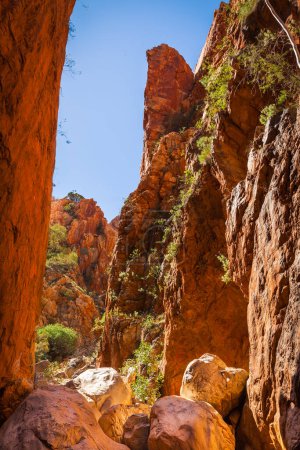 Photo for Standley Chasm,Central Australia, Northern Territory, Australia - Royalty Free Image