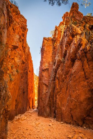 Photo for Standley Chasm,Central Australia, Northern Territory, Australia - Royalty Free Image