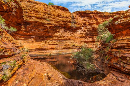 Téléchargez les photos : Jardin d'Eden, Canyon des Rois, Territoire du Nord, Australie - en image libre de droit