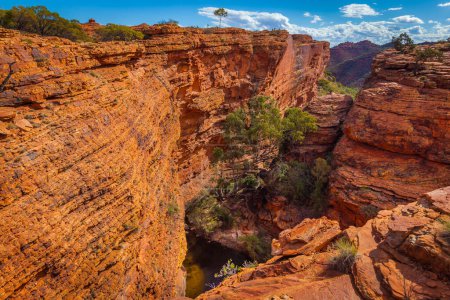 Téléchargez les photos : Jardin d'Eden, Kings Canyon, Territoire du Nord, Australie - en image libre de droit