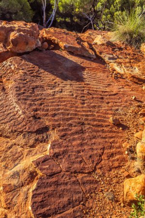 Foto de Marcas de ondulación dejadas en las rocas por antiguos lagos poco profundos, Kings Canyon, Territorio del Norte, Australia - Imagen libre de derechos