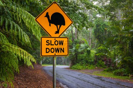 Téléchargez les photos : Panneau d'avertissement routier Cassowary, Kuranda, Queensland, Australie - en image libre de droit