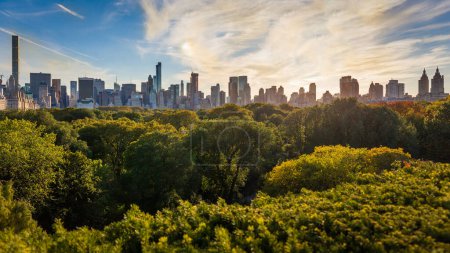 Téléchargez les photos : L'horizon de Midtown à partir de Central Park, New York, États-Unis - en image libre de droit