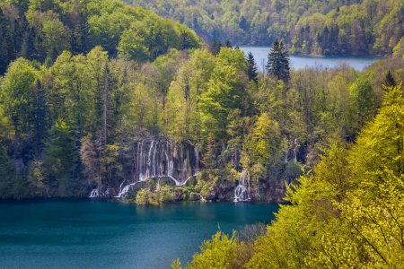 Foto de Increíbles cascadas y cascadas que conectan lagos turquesas, Parque Nacional de los Lagos de Plitvice, Croacia - Imagen libre de derechos