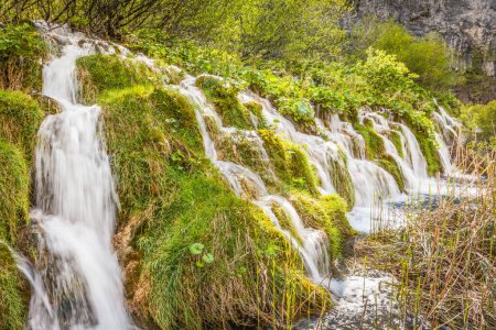 Téléchargez les photos : Gros plan de belles cascades parmi l'herbe verte, Parc national des lacs de Plitvice, Croatie - en image libre de droit