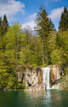Téléchargez les photos : Belle cascade entourée d'eaux emérales et de forêt verte, parc national des lacs de Plitvice, Croatie - en image libre de droit
