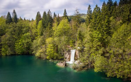 Foto de Hermosa cascada sumergiéndose en el estanque de esmeralda cristalina entre los bosques verdes, Parque Nacional de los Lagos de Plitvice, Croacia. Larga exposición. - Imagen libre de derechos