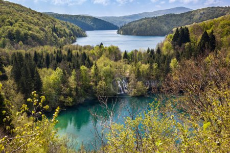 Foto de Lago Ciginovac y Proscansko rodeados de bosques verdes, Parque Nacional Lago Plitvice, Croacia - Imagen libre de derechos