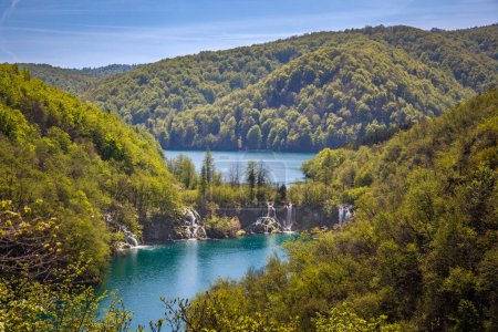 Foto de Bosques verdes y lagos en cascada con agua pura, Parque Nacional de los Lagos de Plitvice, Croacia - Imagen libre de derechos