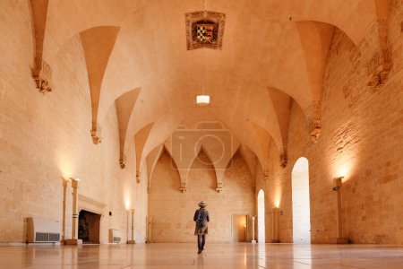 Téléchargez les photos : Femme marchant dans la Salle du Trône du Château de Charles Quint, Lecce, Italie. Aujourd'hui, il a perdu sa magnificence et est principalement utilisé pour des expositions. - en image libre de droit