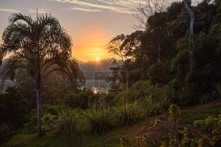 Téléchargez les photos : Lever de soleil dans la forêt tropicale, Réserve nationale de Tambopata, Puerto Maldonado, Pérou - en image libre de droit