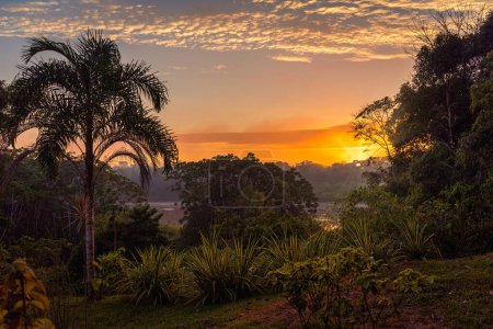Photo for Sunrise in the rainforest, Tambopata National Reserve, Puerto Maldonado, Peru - Royalty Free Image