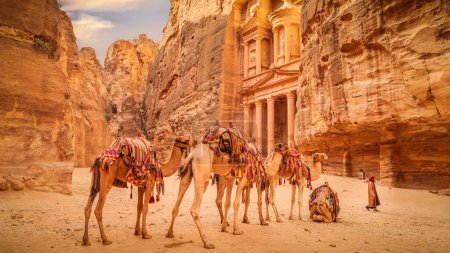 Téléchargez les photos : Rangée de chameaux devant le Trésor (Al Khazneh), Petra, Jordanie - en image libre de droit